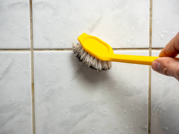 Best Localized Mold Remediation (e.g., coastal areas, humid climates) in University Park, TX