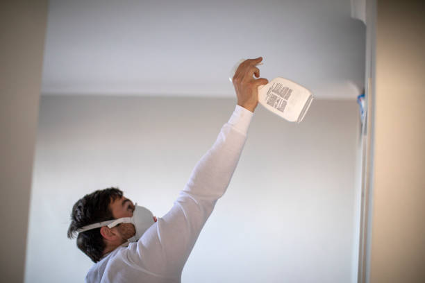 Best Insurance-Related Mold Remediation in University Park, TX
