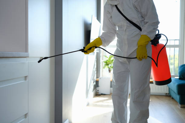 Best Emergency Mold Remediation in University Park, TX