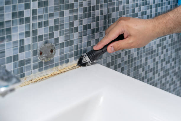 Best Residential Mold Remediation in University Park, TX