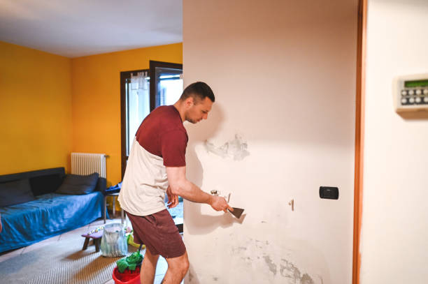 Best Crawl Space Mold Remediation in University Park, TX