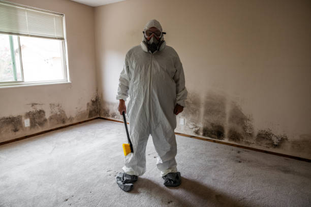 Best Commercial Mold Remediation in University Park, TX